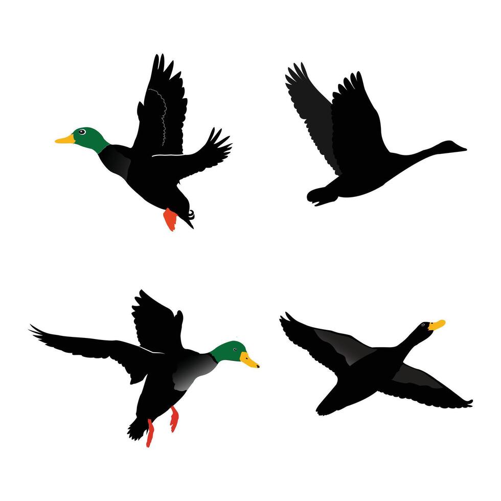 Hand drawing animal silhouettes set design vector