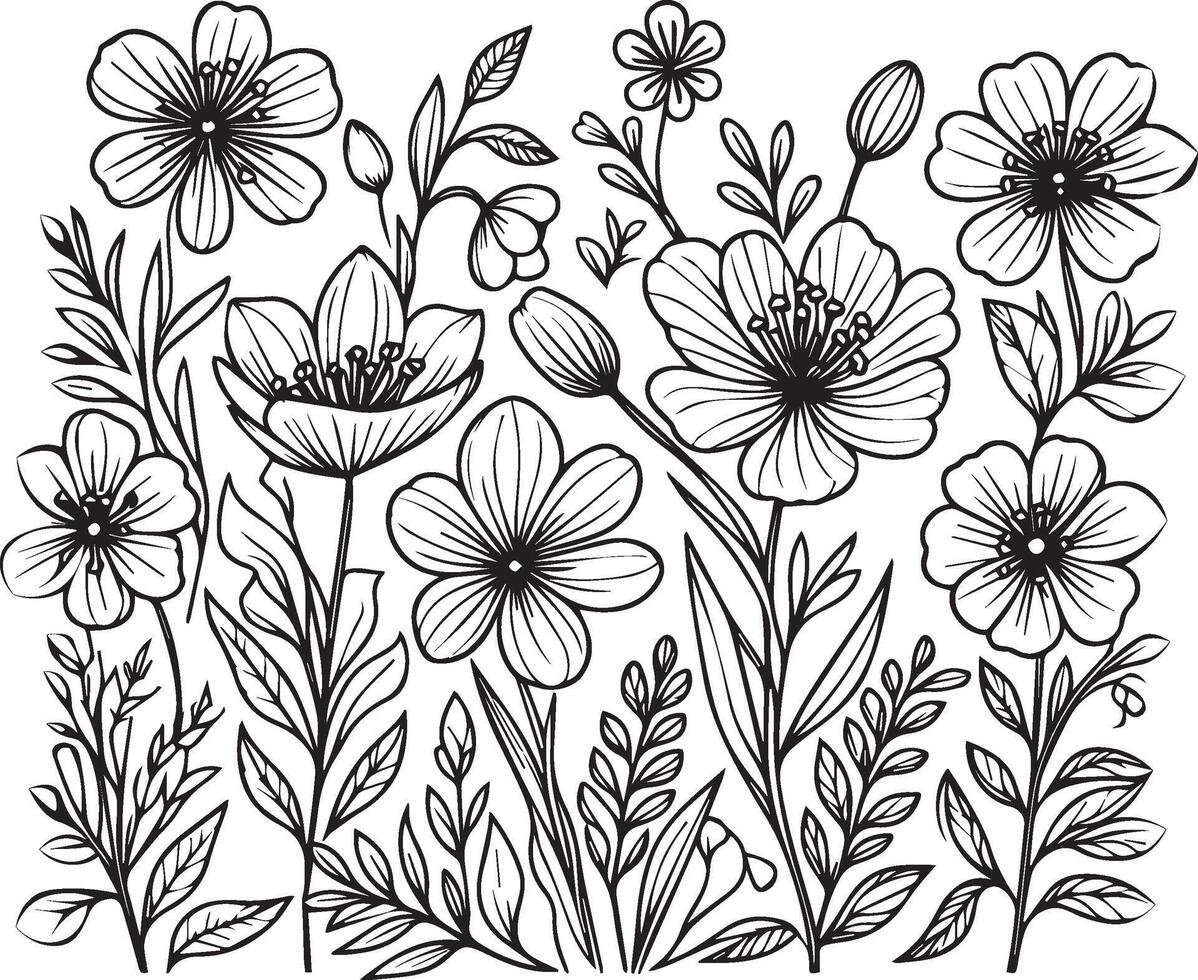 Set of Spring hand-drawn botanical leaf, botanical line drawing, wildflower botanical line art, leaf's art, Pencil realistic wild flower drawing vector