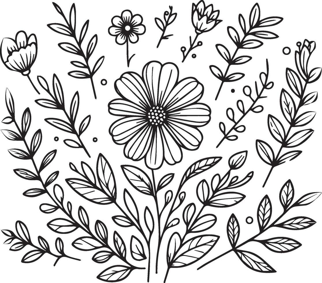 Set of Spring hand-drawn botanical leaf, botanical line drawing, wildflower botanical line art, leaf's art, Pencil realistic wild flower drawing vector