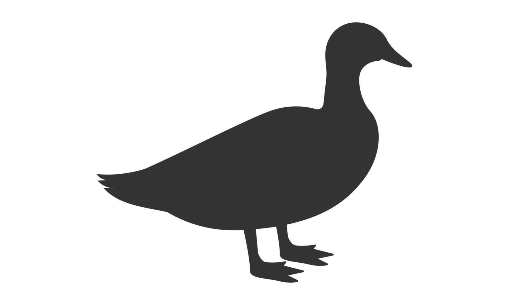 Duck silhouette on white background. illustration. vector