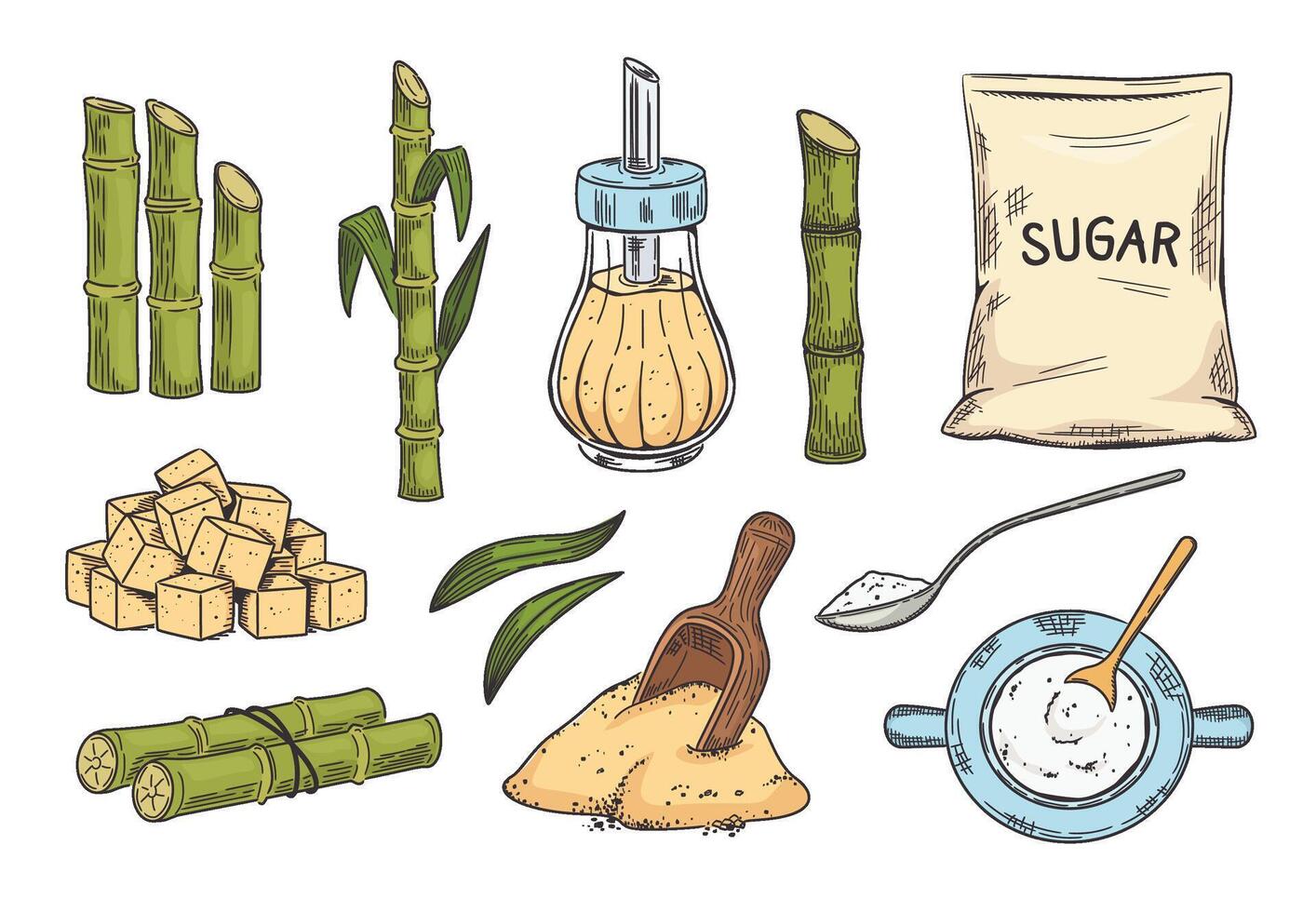 Sketch cane sugar. Sugarcane and dark brown sugar in shaker and cubes. Hand drawn scoop and bag illustration set. vector
