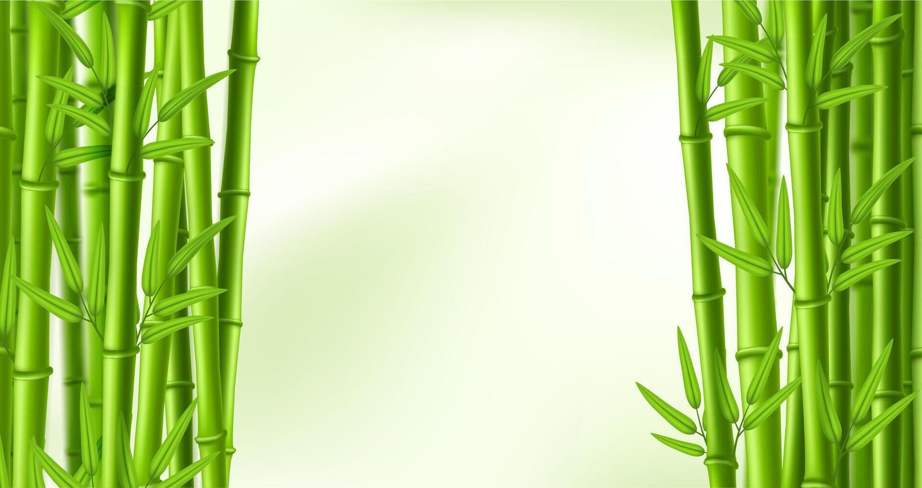 Bamboo frame. Green banner framing with bamboo stems and leaves, Chinese forest and zen border backdrop illustration vector