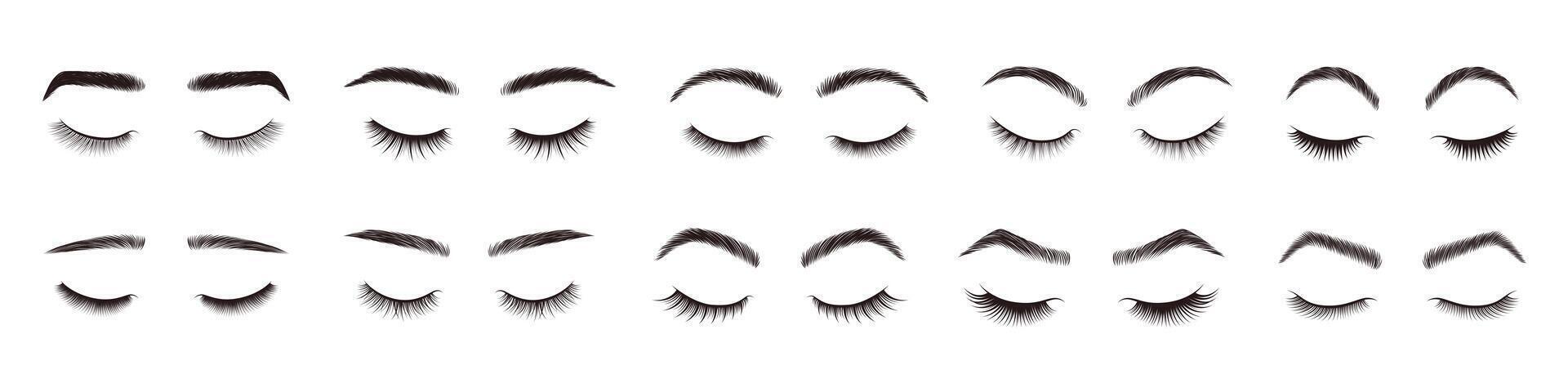Eyebrows and eyelashes styles. Beauty eyebrow shapes and eyelash designs, natural eye makeup look. Realistic closed eyes with lashes and brow styling set. Fashion glamour salon elements vector