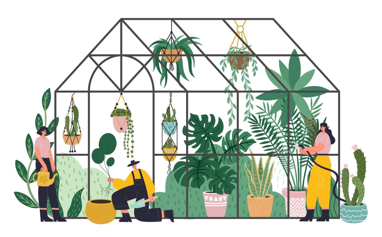 People working in planting greenhouse, glass orangery, botanical garden greenhouse vector
