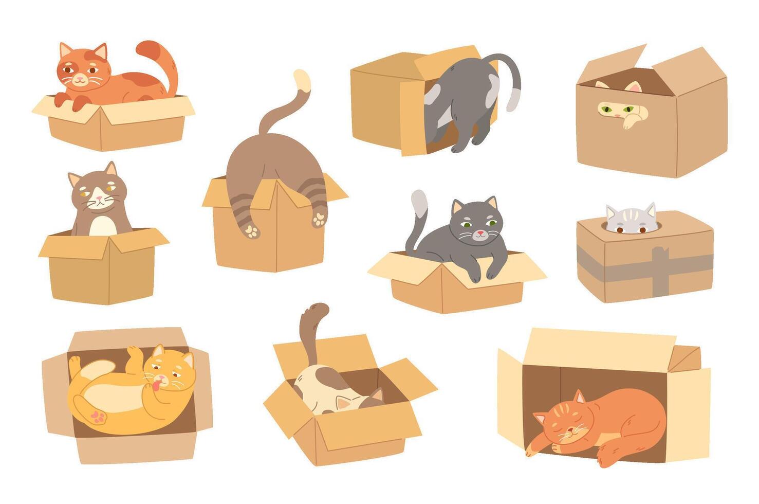 Cartoon cats in cardboard box. Felines play with boxes, adopt kittens and funny packed cats illustration set vector