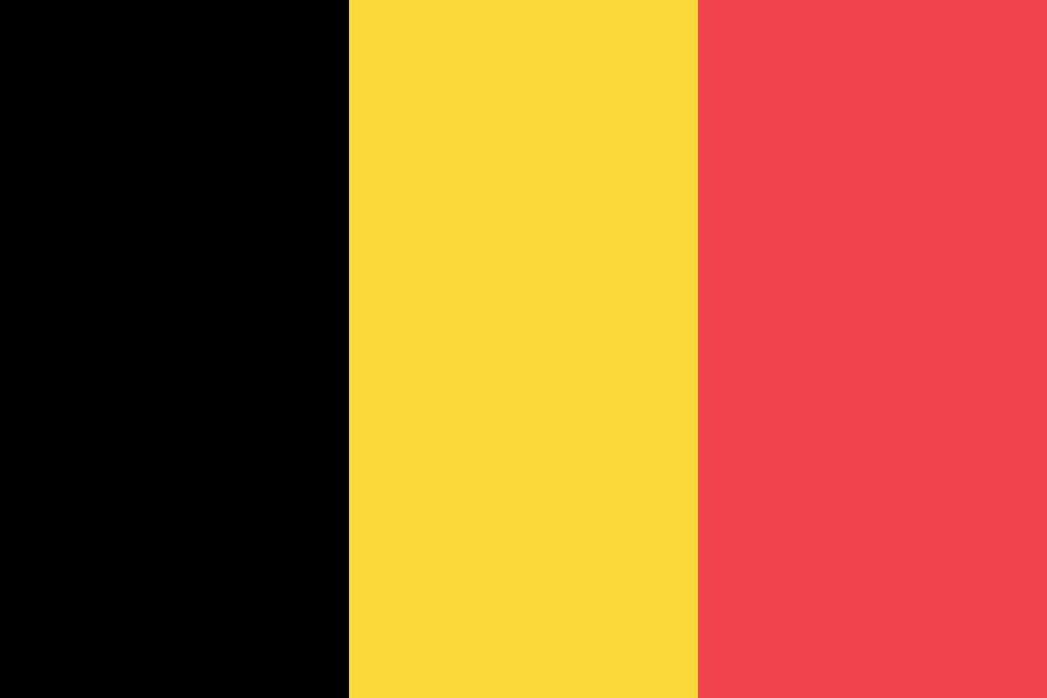 The flag of Belgium vector