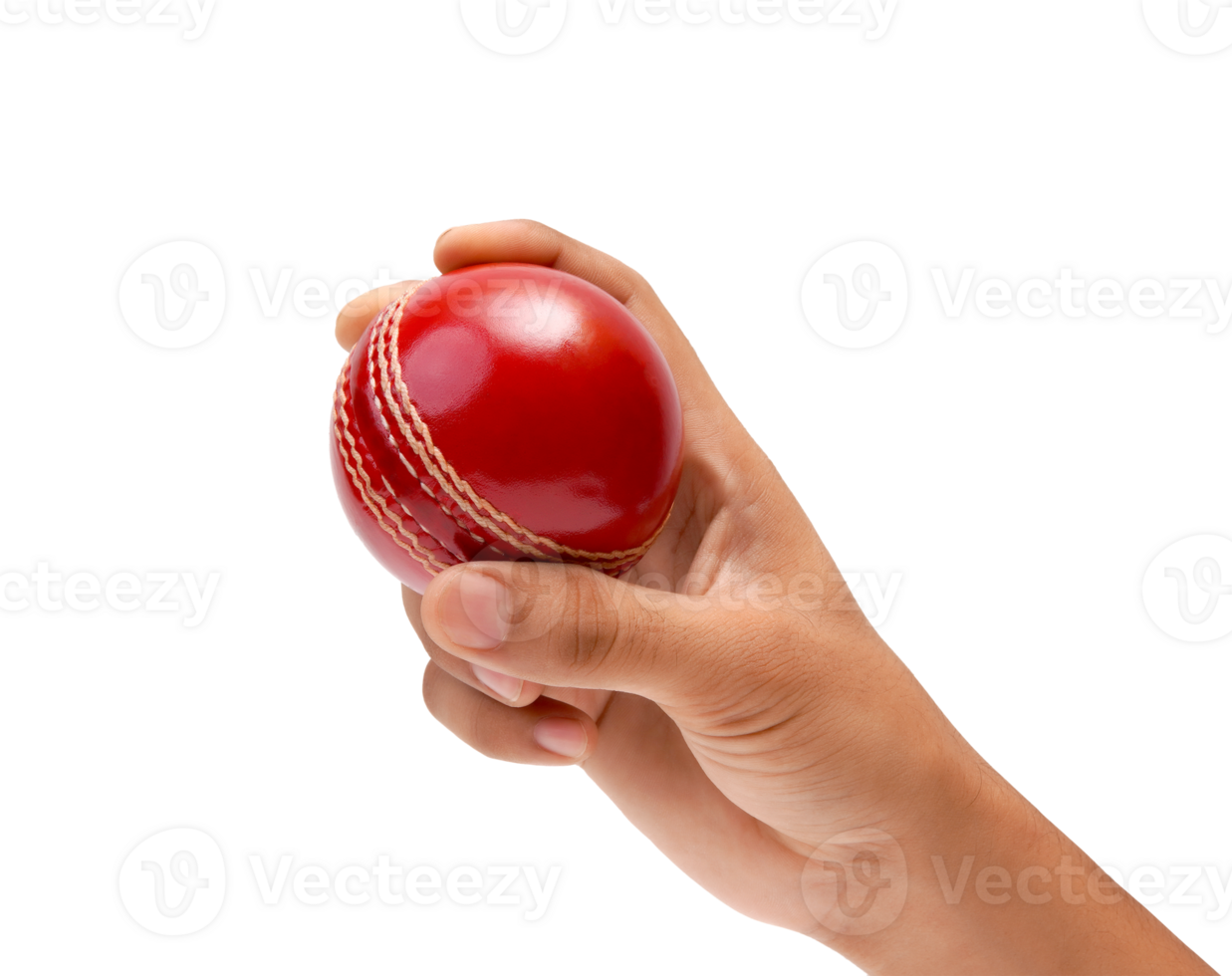 Closeup Photo Of A Male Bowler Strong Grip On A Gleaming Red Test Cricket Ball png
