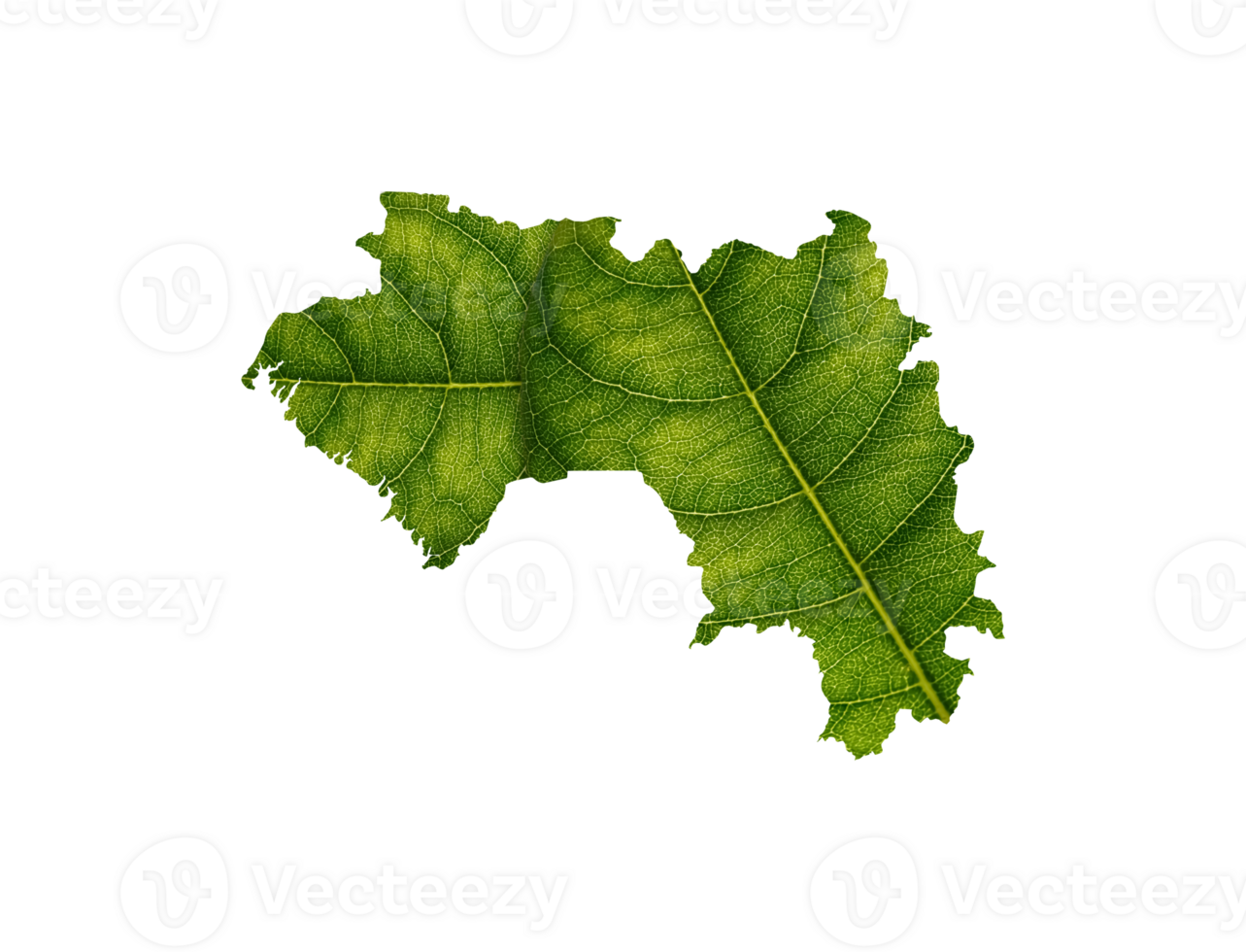 Guinea map made of green leaves ecology concept png