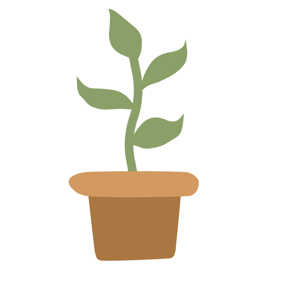 Plant Cartoon Decoration png