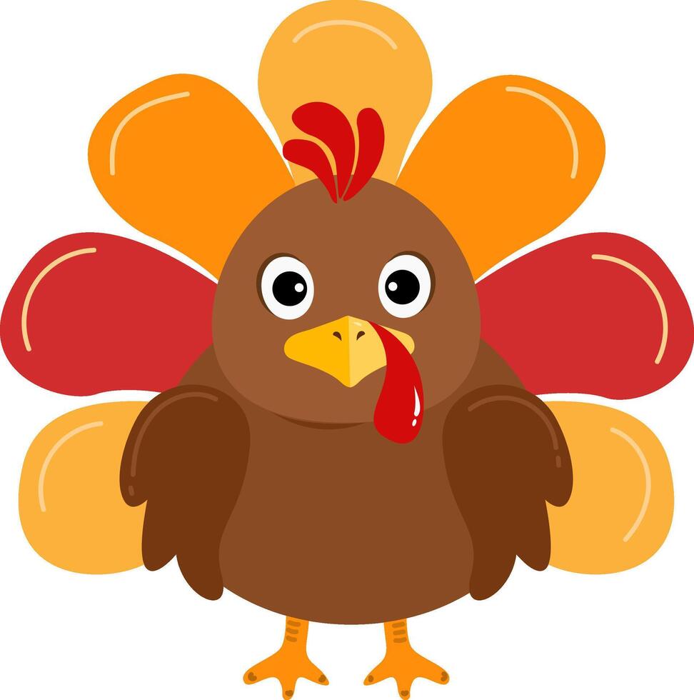 Cartoon graphics of pilgrim turkey vector