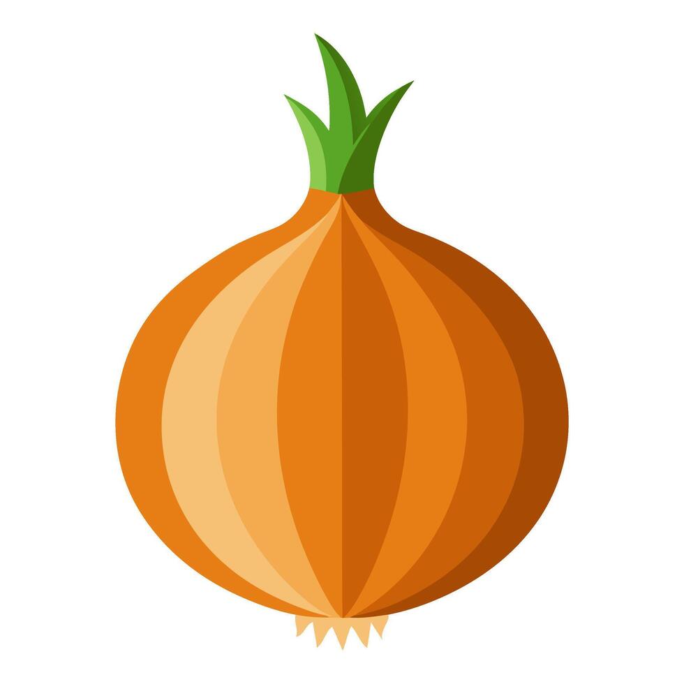 onion vegetable for cooking meals. A bright element isolated on white for design. vector