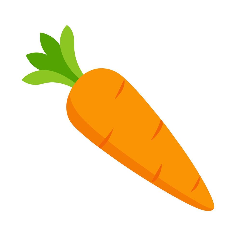 carrot vegetable for cooking meals. A bright element isolated on white for design vector