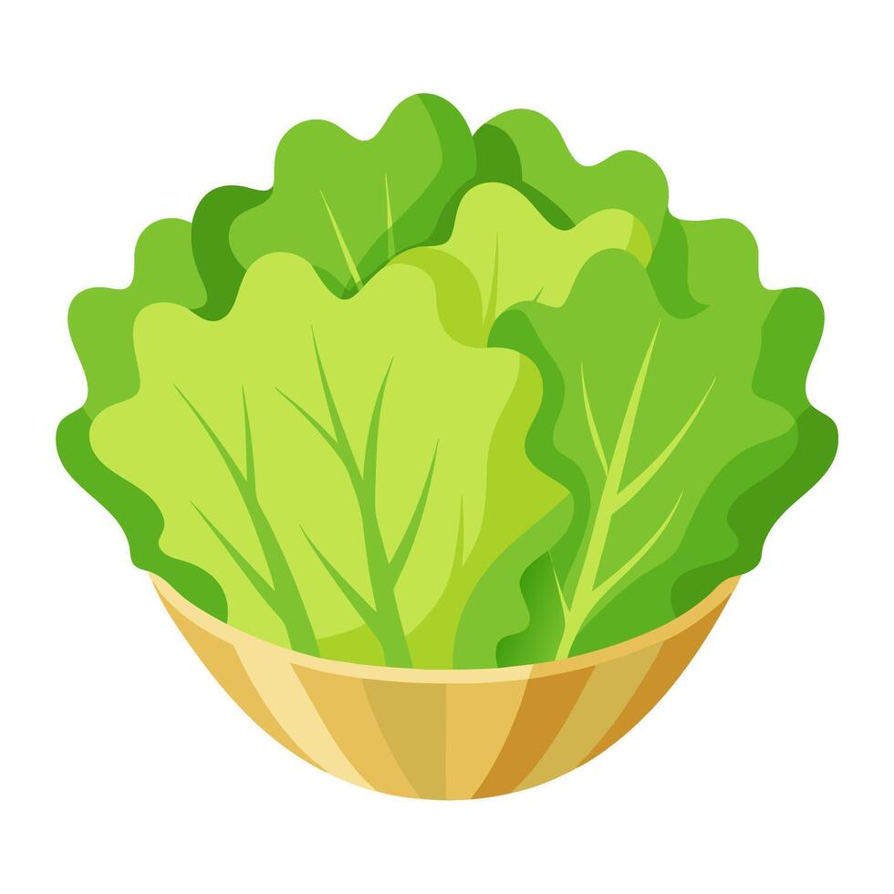 frisee salad vegetable for cooking meals. A bright element isolated on white for design vector
