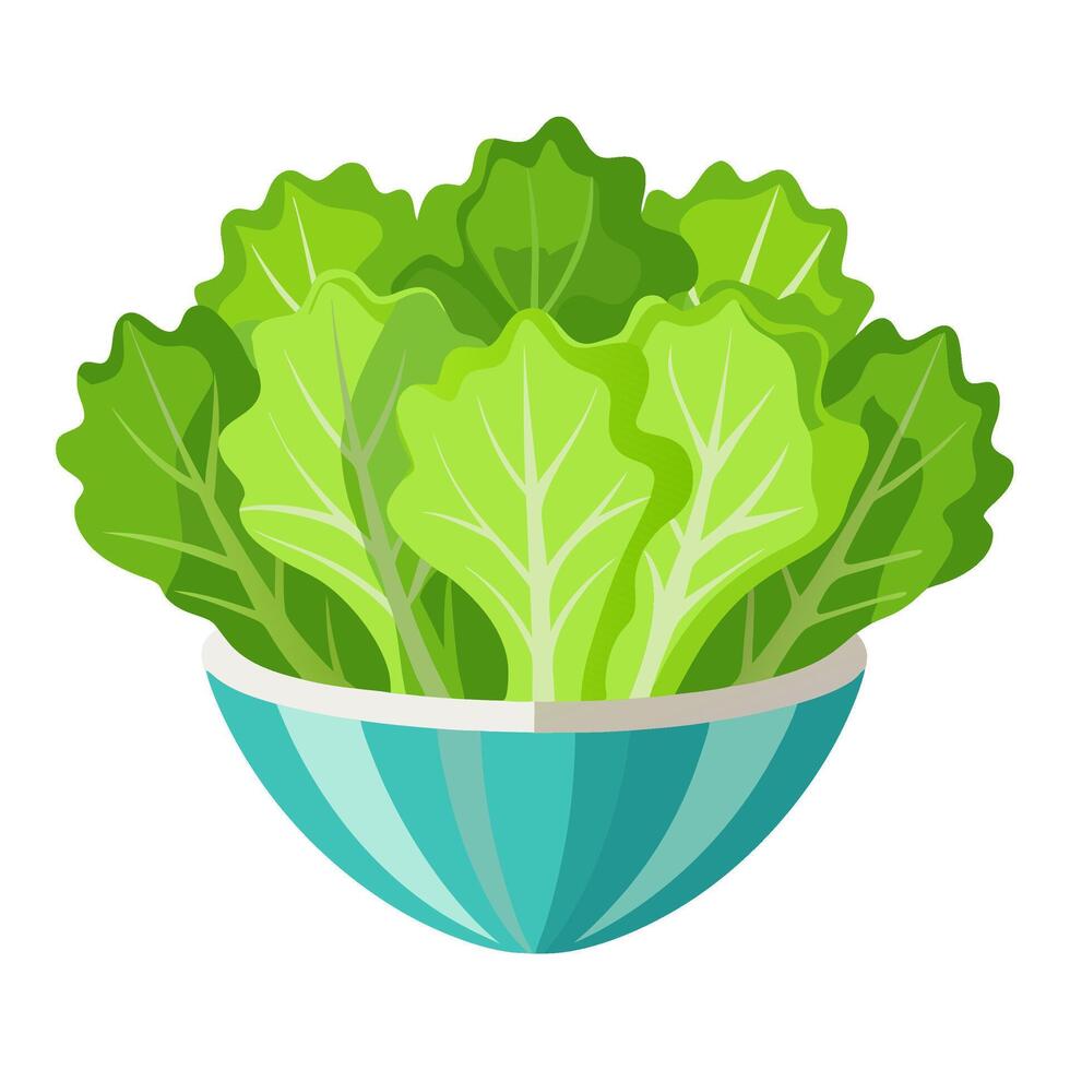 frisee salad vegetable for cooking meals. A bright element isolated on white for design vector