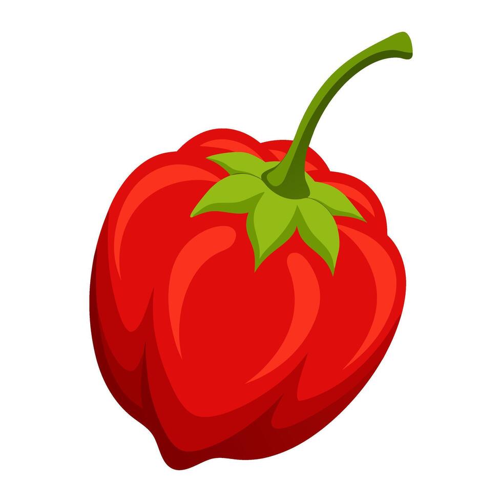 hot pepper, trinidad scorpion butch pepper vegetable for cooking meals. A bright element isolated on white for design. vector