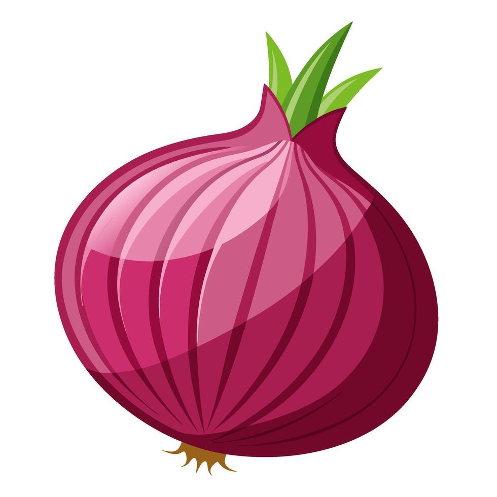 red onion vegetable for cooking meals. A bright element isolated on white for design illustration vector