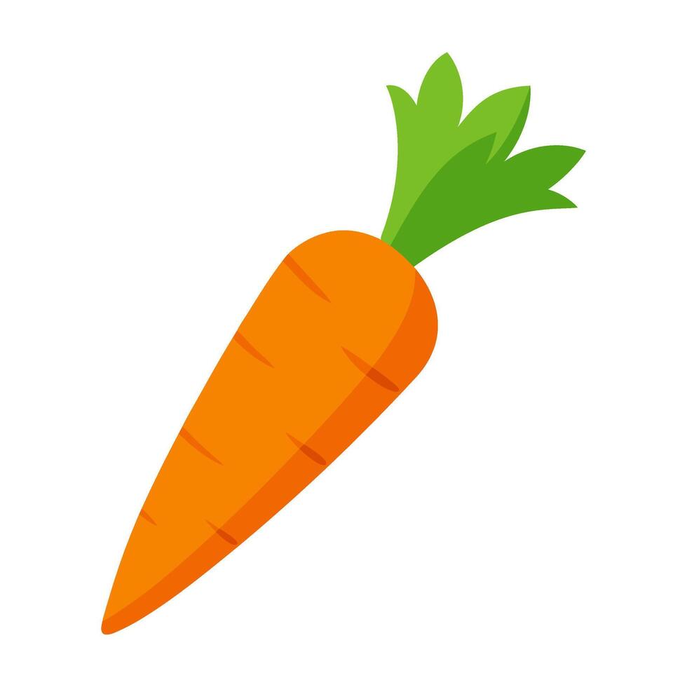 carrot vegetable for cooking meals. A bright element isolated on white for design vector