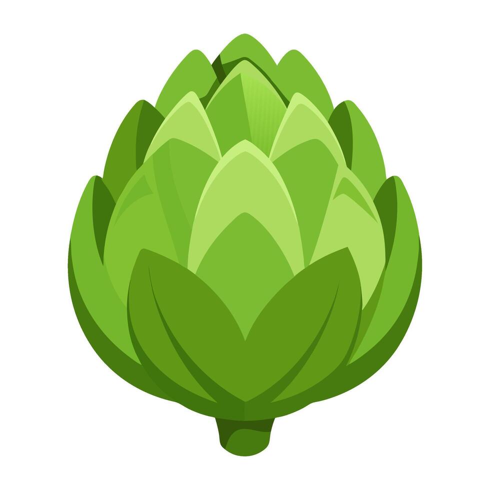 artichoke vegetable for cooking meals. A bright element isolated on white for design vector