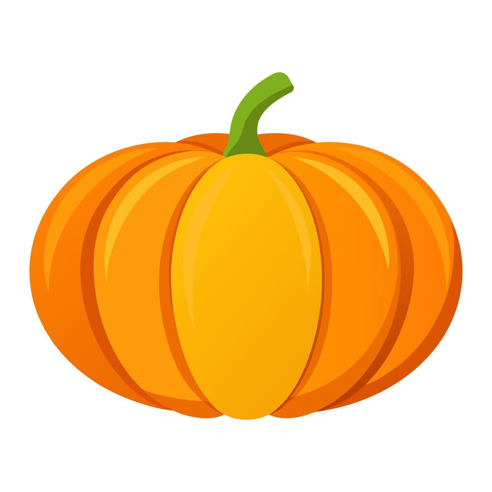pumpkin vegetable for cooking meals. A bright element isolated on white for design vector