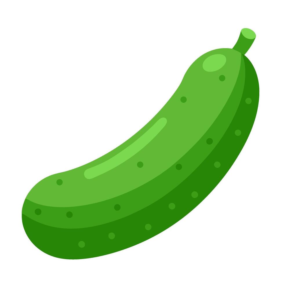 cucumber vegetable for cooking meals. A bright element isolated on white for design. vector