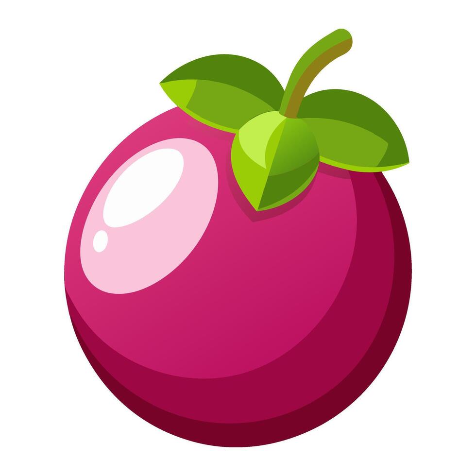 mangosteen colorful fruit. Modern abstract flat style. Natural tropical fruit. vector