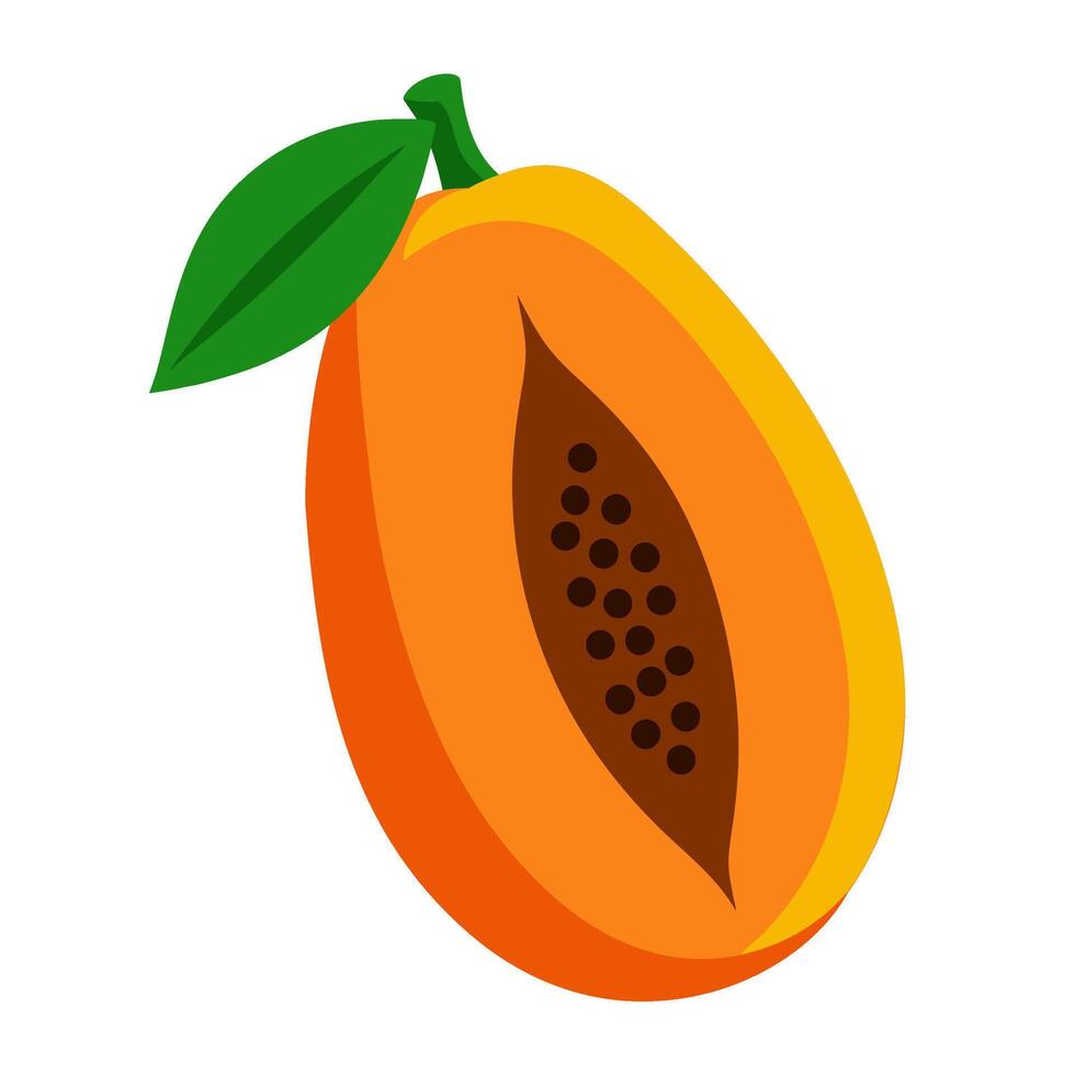 papaya colorful fruit. Modern abstract flat style. Natural tropical fruit. vector