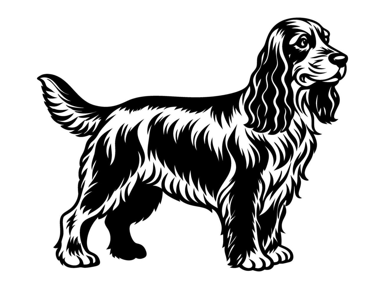 cocker spaniel dog full body icon. Black and white logo, dog silhouette, engraving style. Pet character. vector