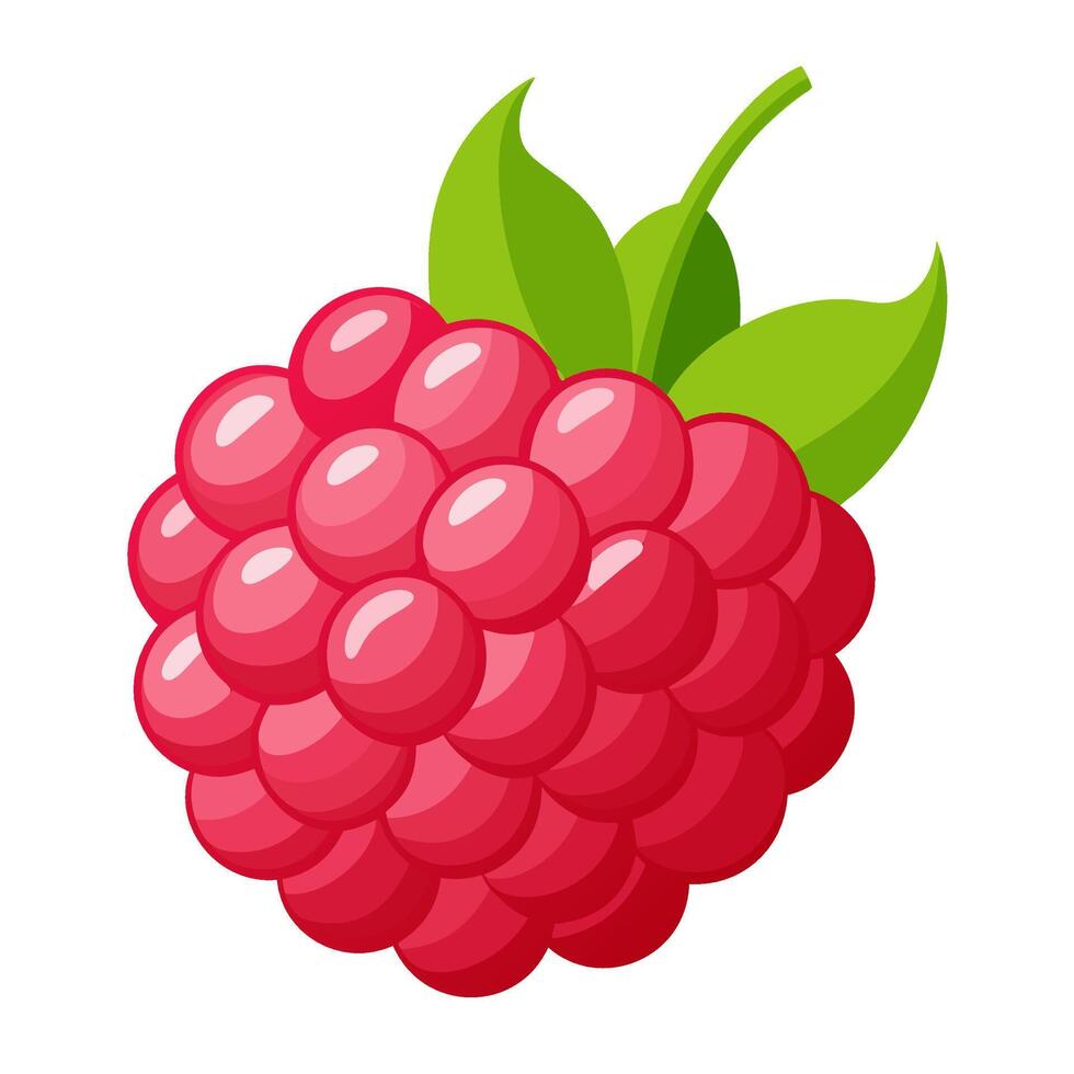 raspberry colorful fruit. Modern abstract flat style. Natural tropical fruit. vector