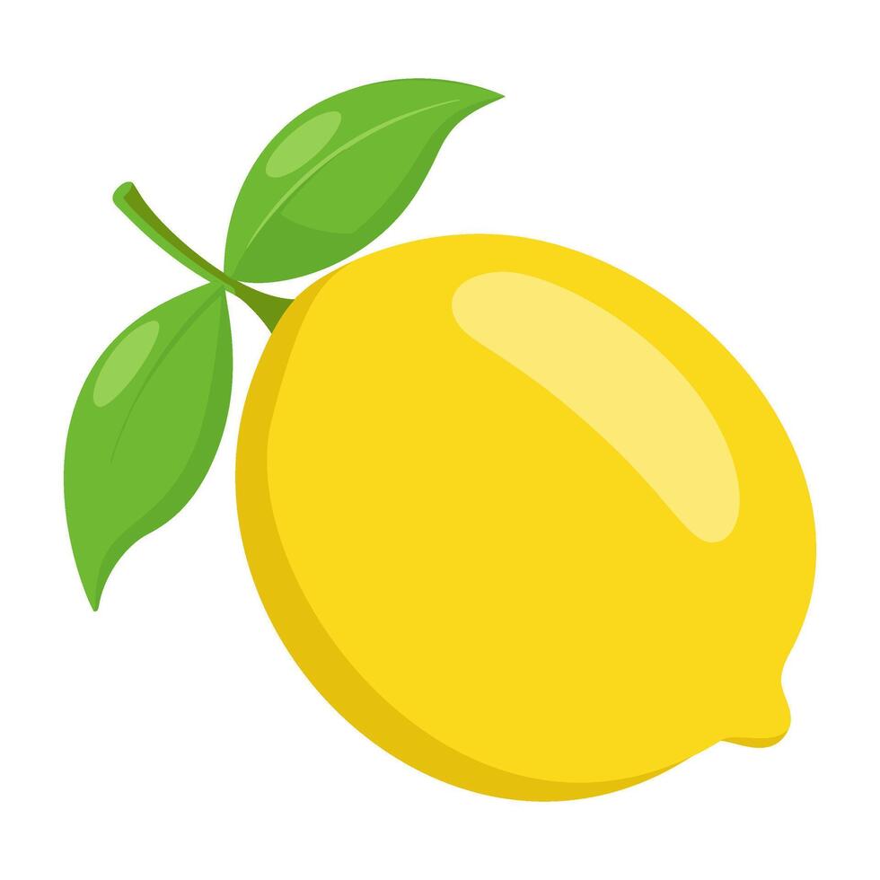 Lemon colorful fruit. Modern abstract flat style. Natural tropical fruit illustration vector