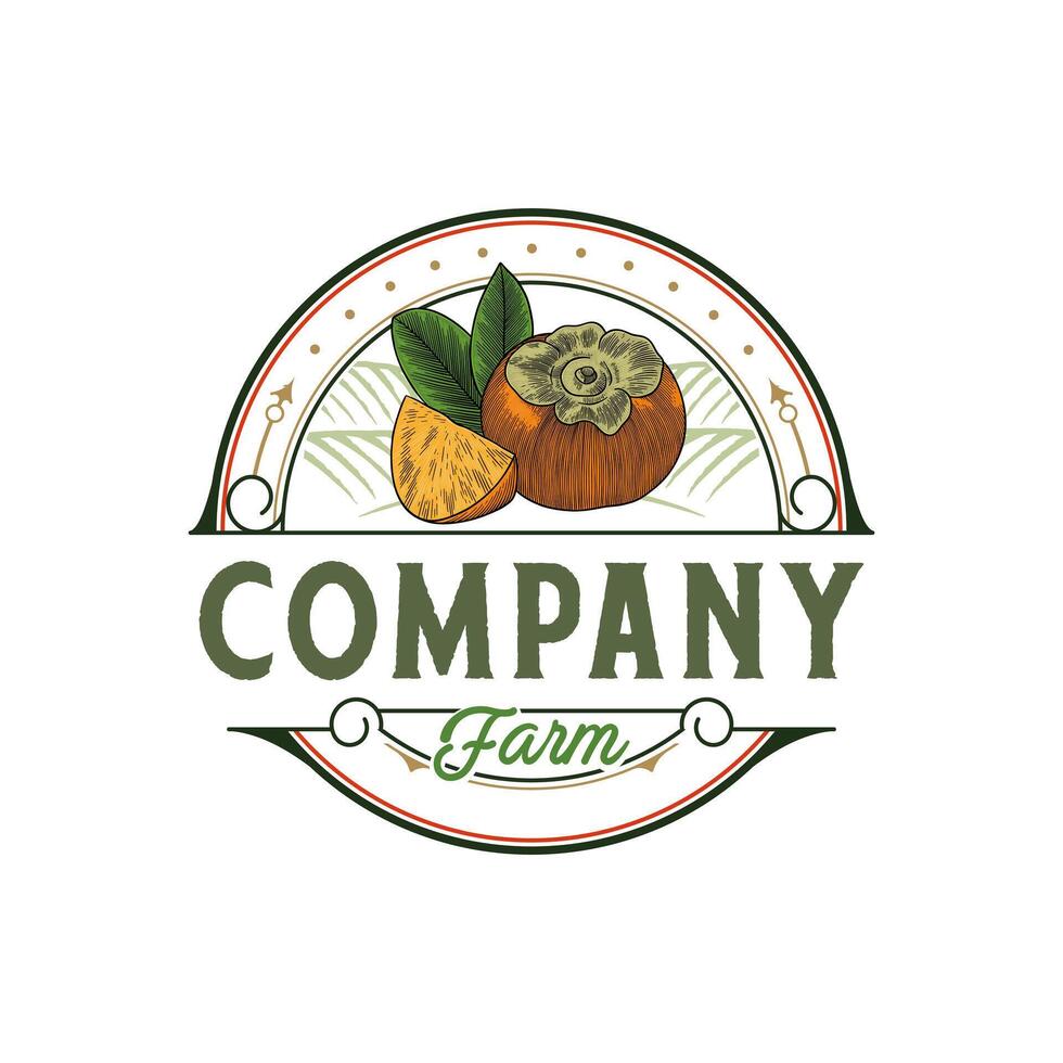 Persimmon fruit illustration logo with a vintage look vector