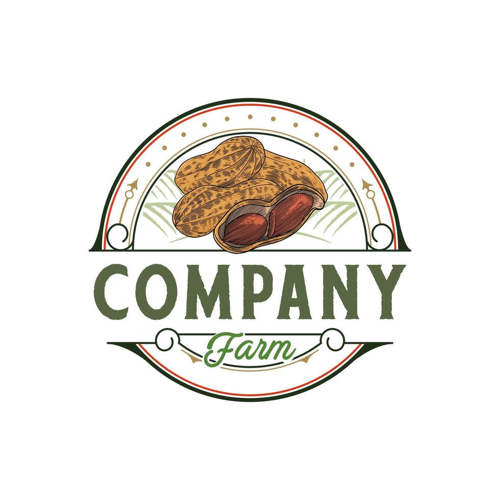 black and white peanut illustration logo with a vintage look vector