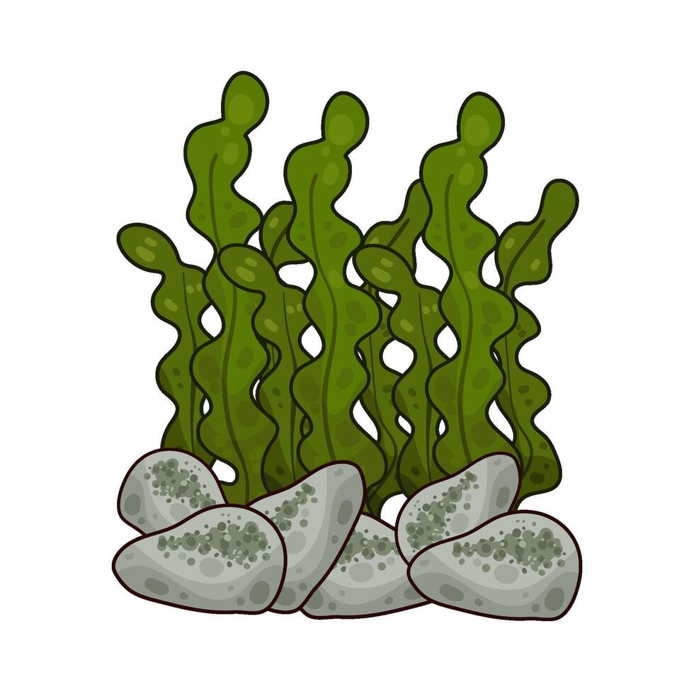 Illustration of seaweed vector