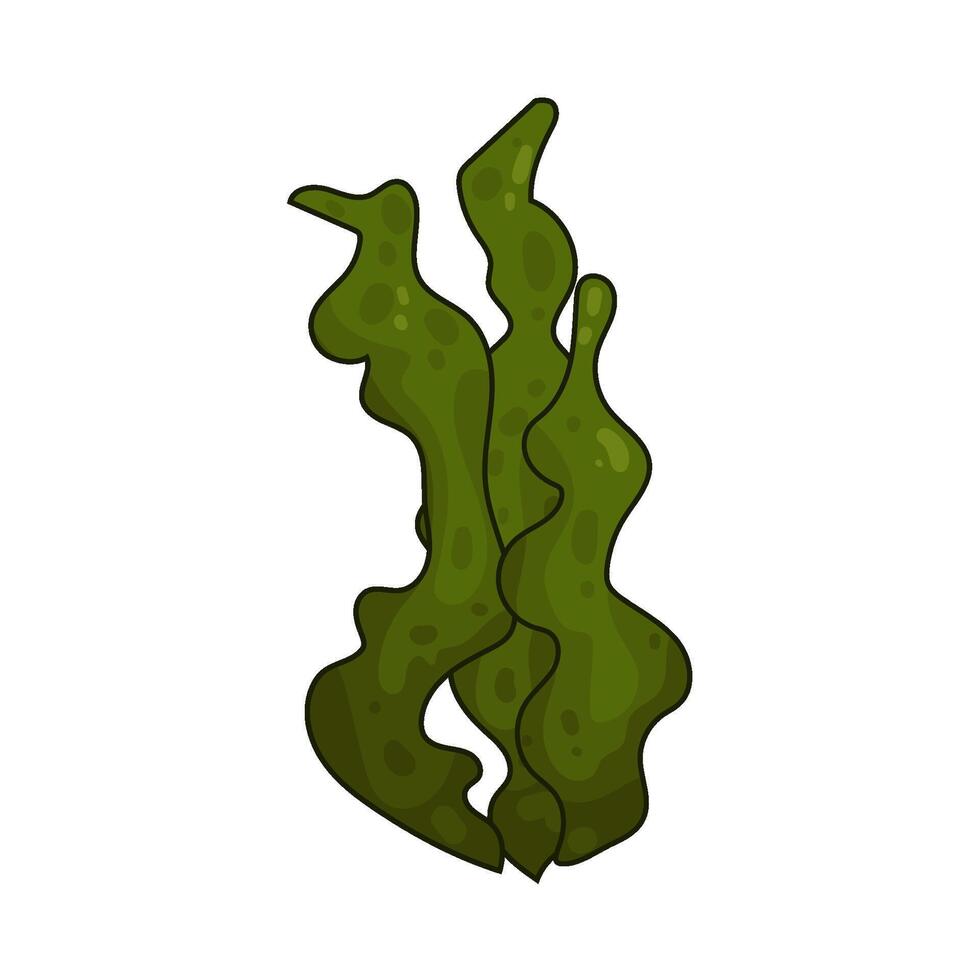 Illustration of seaweed vector