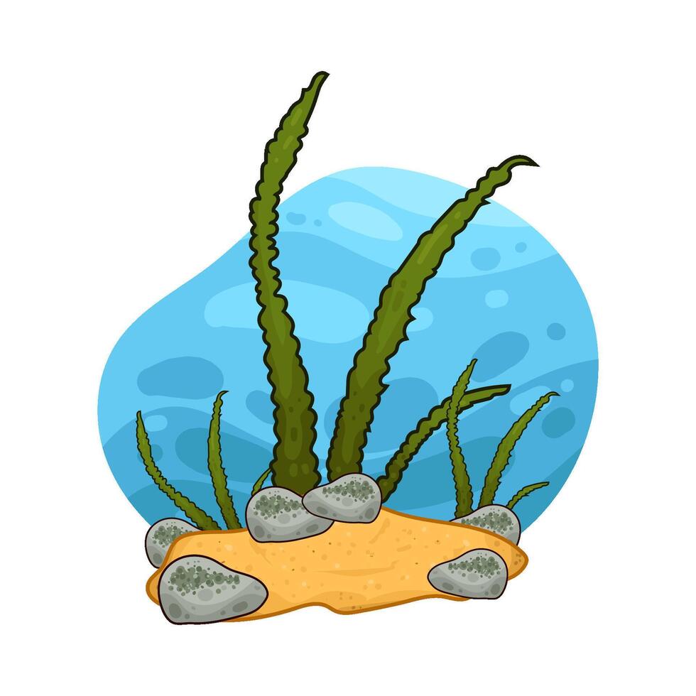 Illustration of seaweed vector