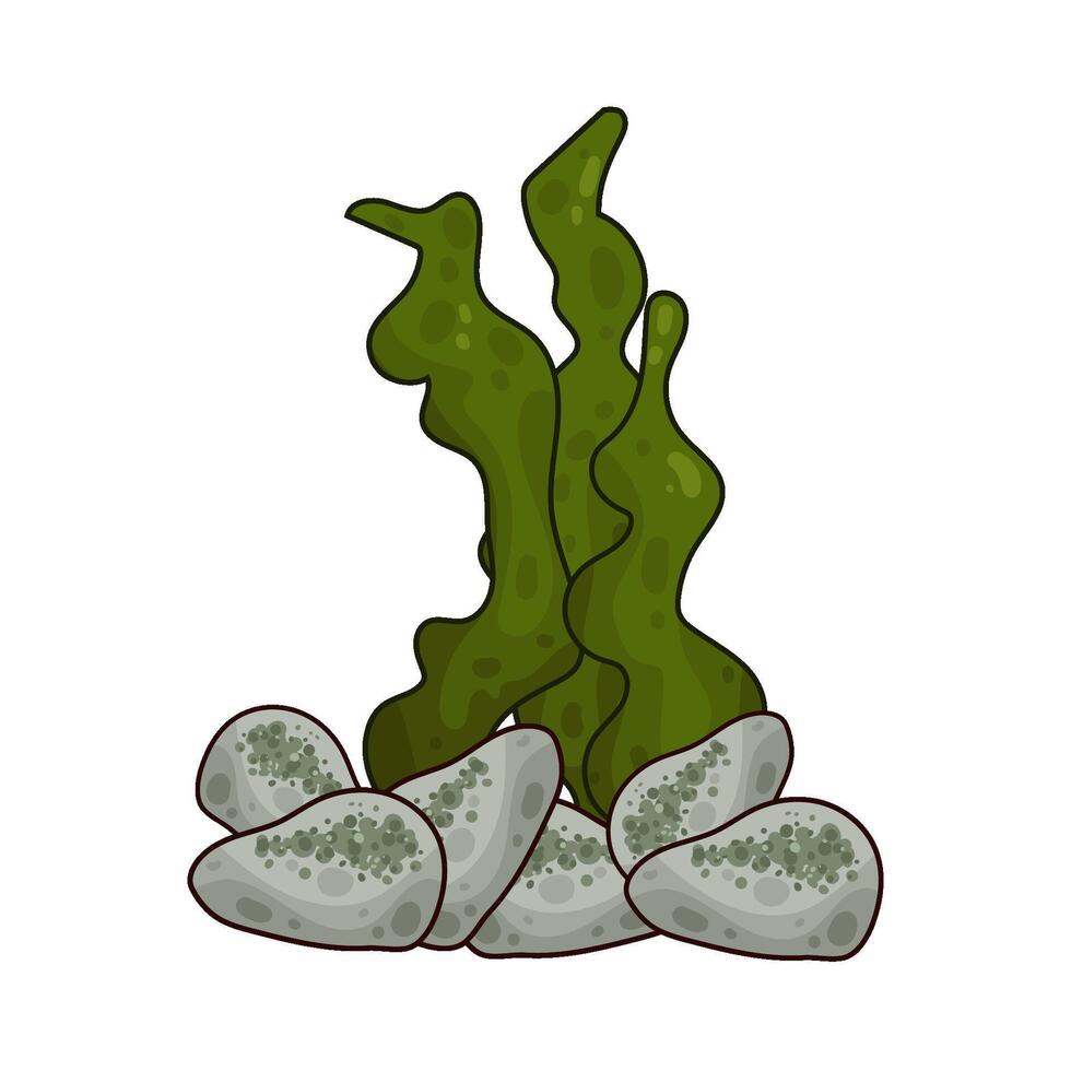 Illustration of seaweed vector