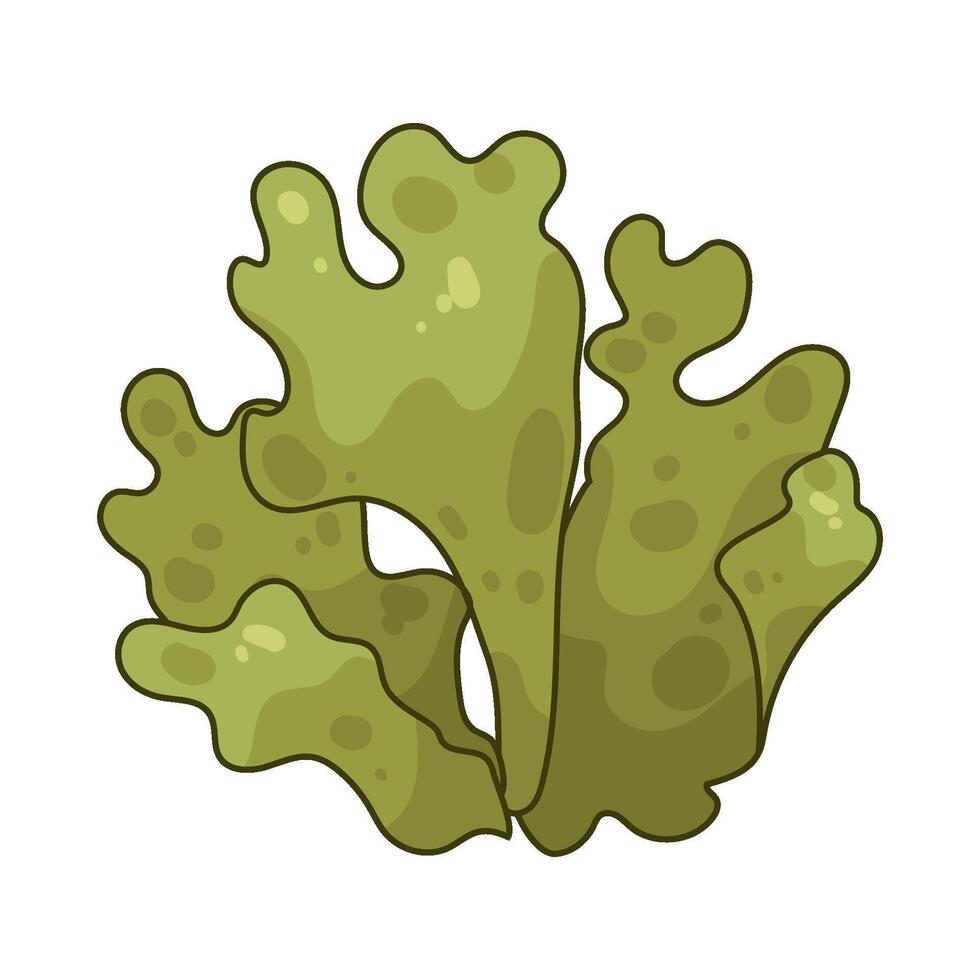 Illustration of seaweed vector