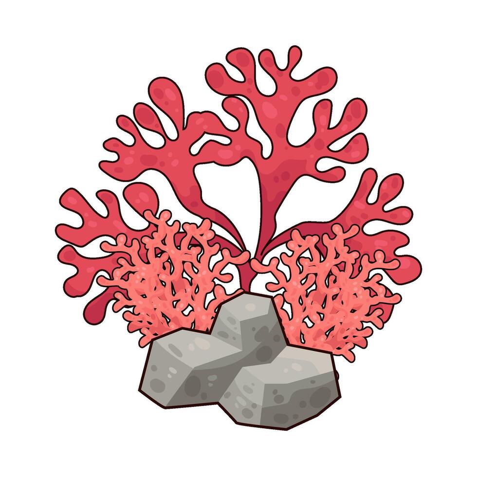 Illustration of seaweed vector