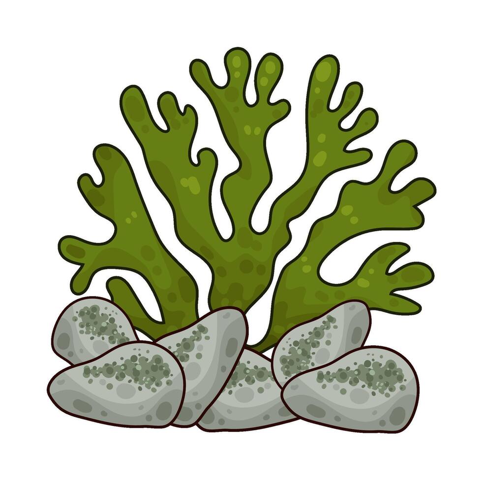 Illustration of seaweed vector