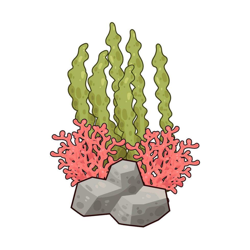 Illustration of seaweed vector