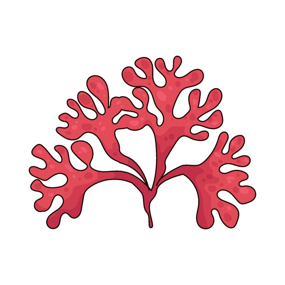 Illustration of seaweed vector