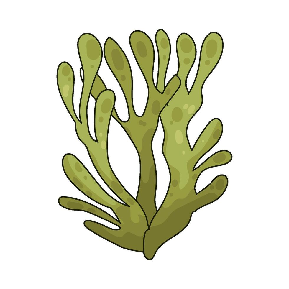 Illustration of seaweed vector