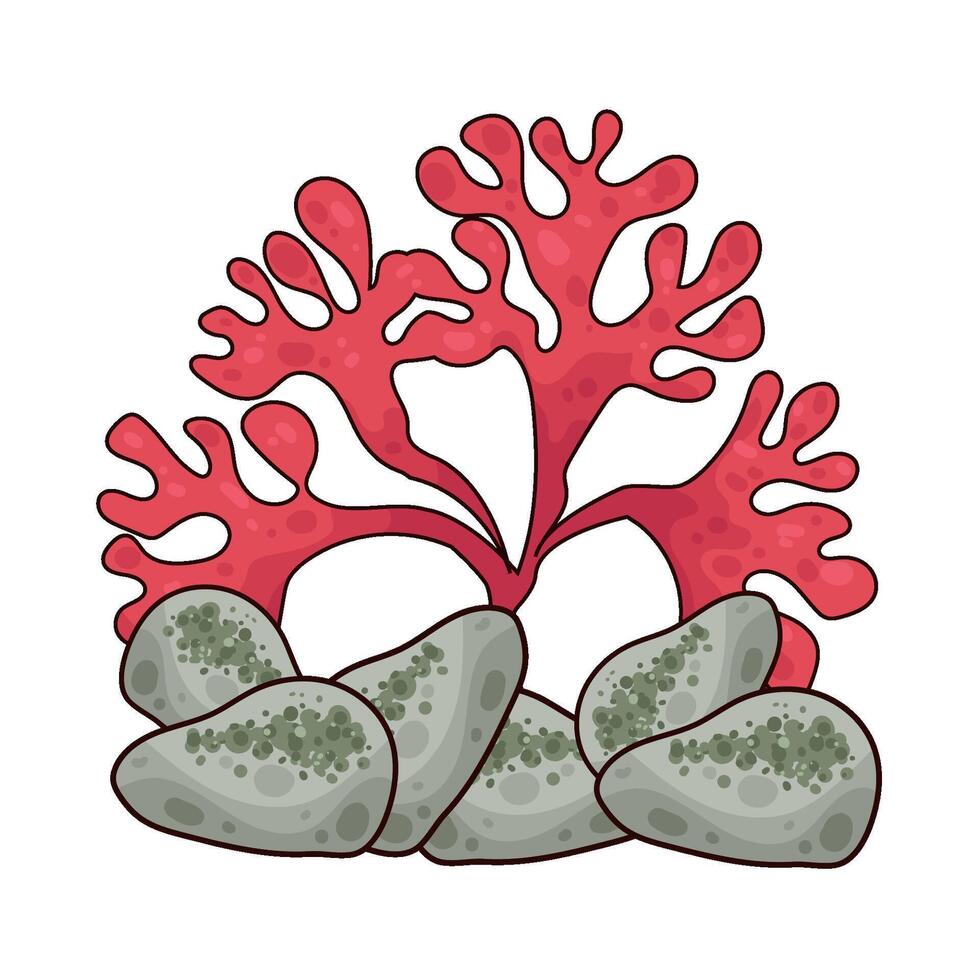 Illustration of seaweed vector