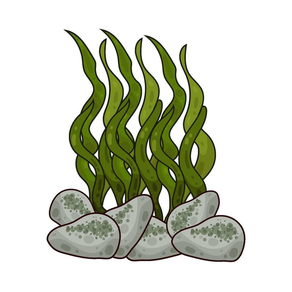 Illustration of seaweed vector