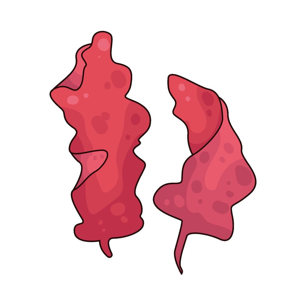 Illustration of seaweed vector