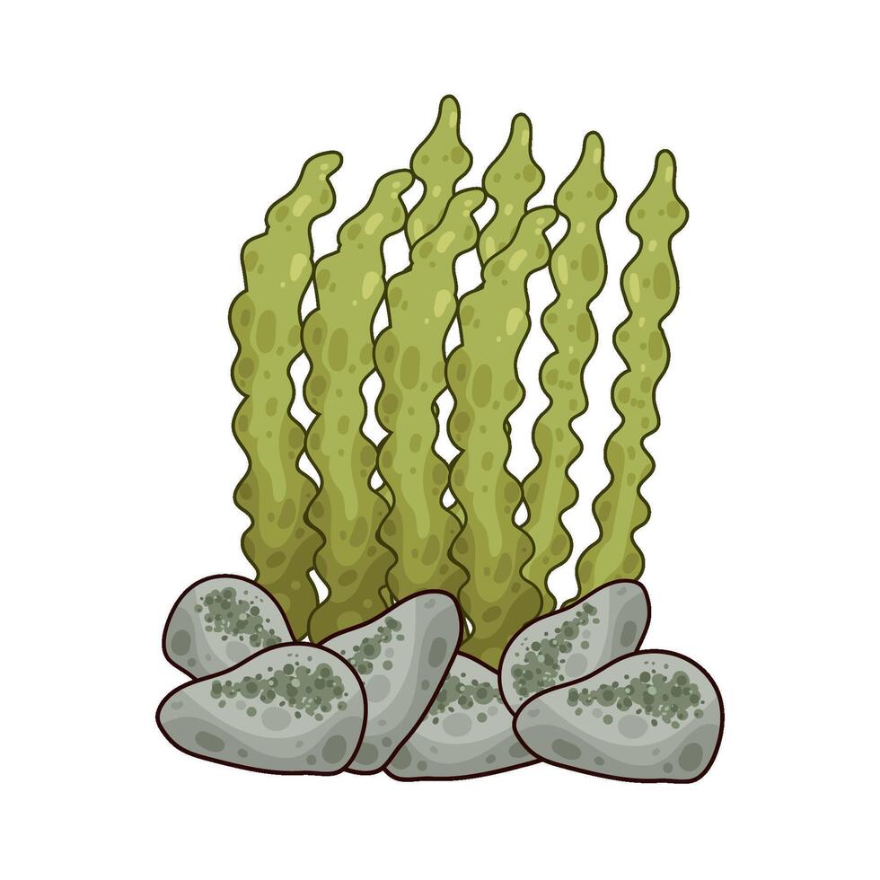 Illustration of seaweed vector
