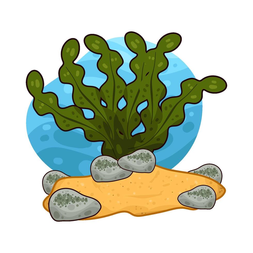 Illustration of seaweed vector