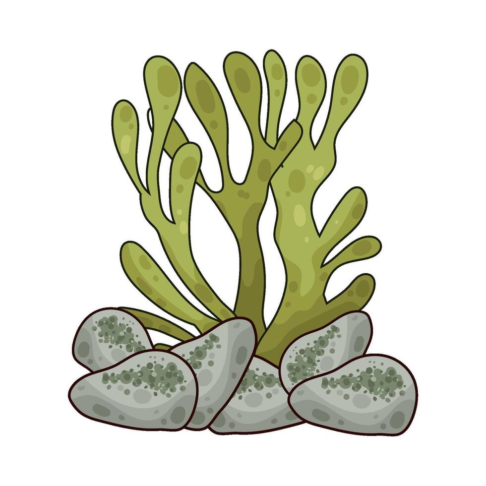 Illustration of seaweed vector