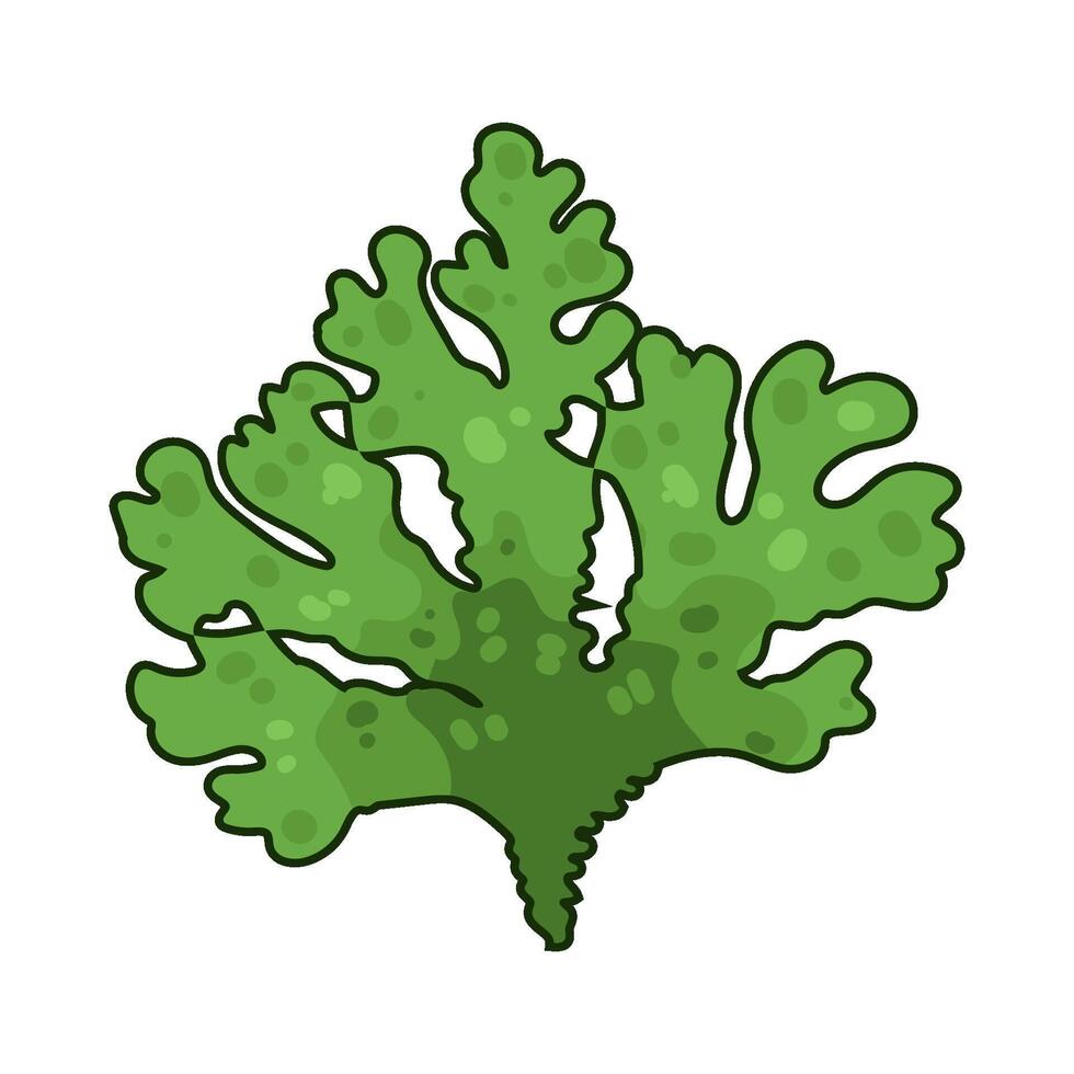 Illustration of seaweed vector
