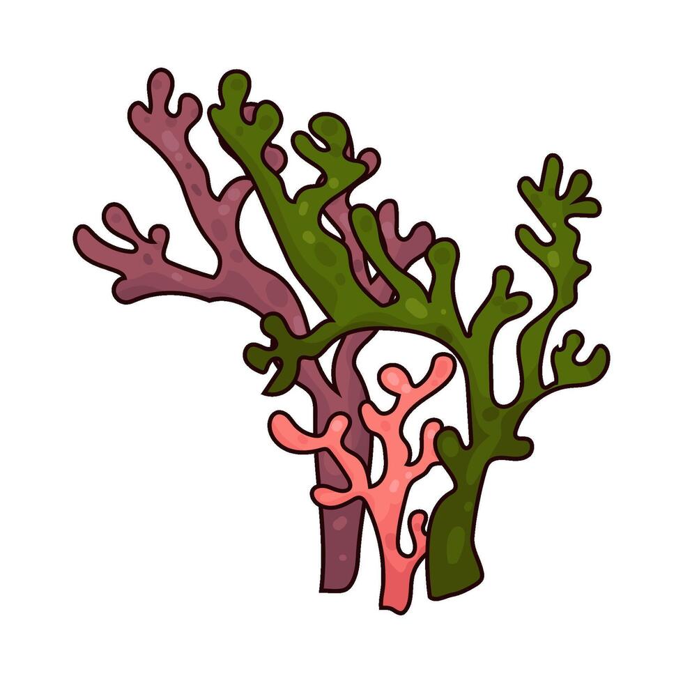 Illustration of seaweed vector