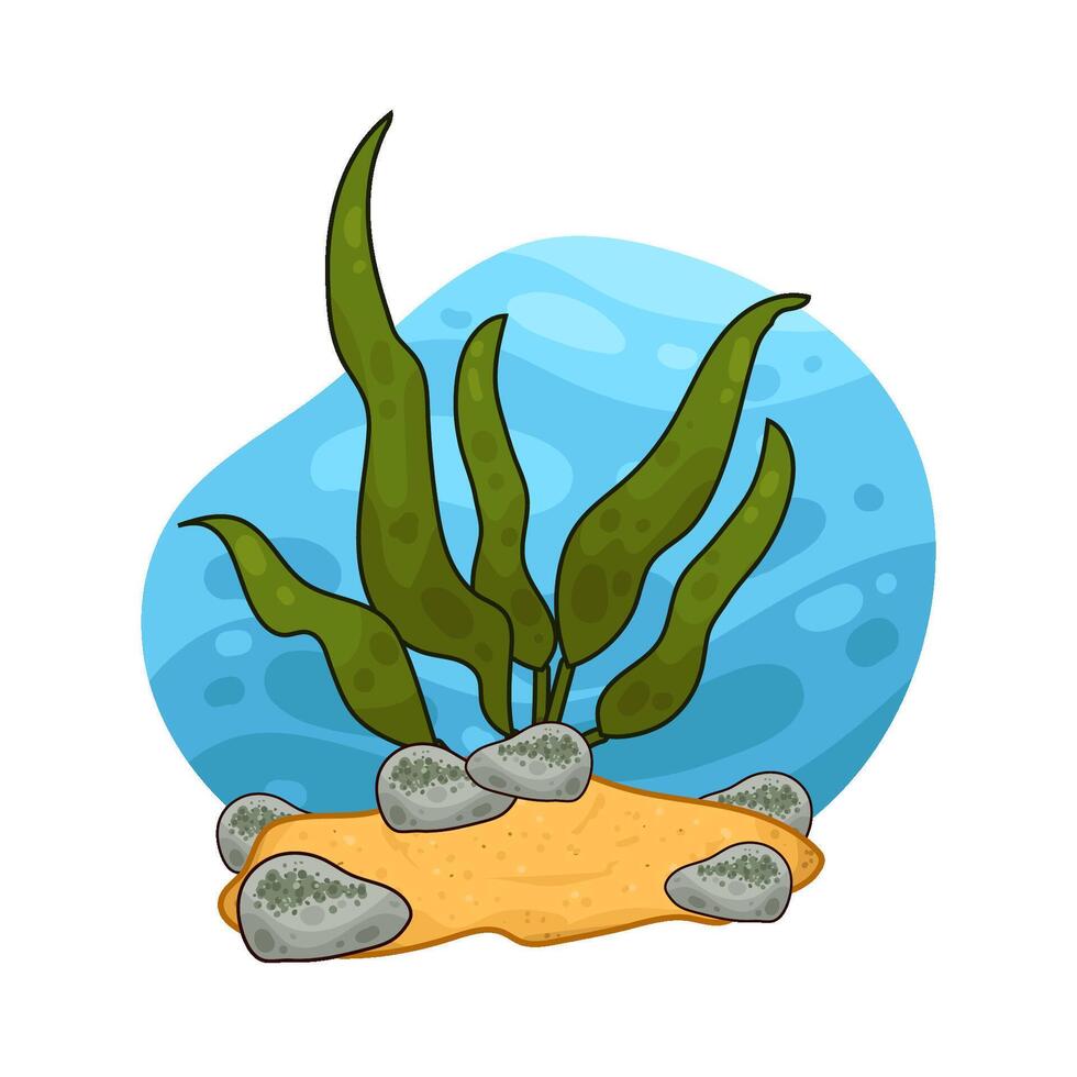 Illustration of seaweed vector